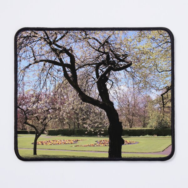 Item preview, Spring Time at Aston Hall designed and sold by Rachel J Bowler.