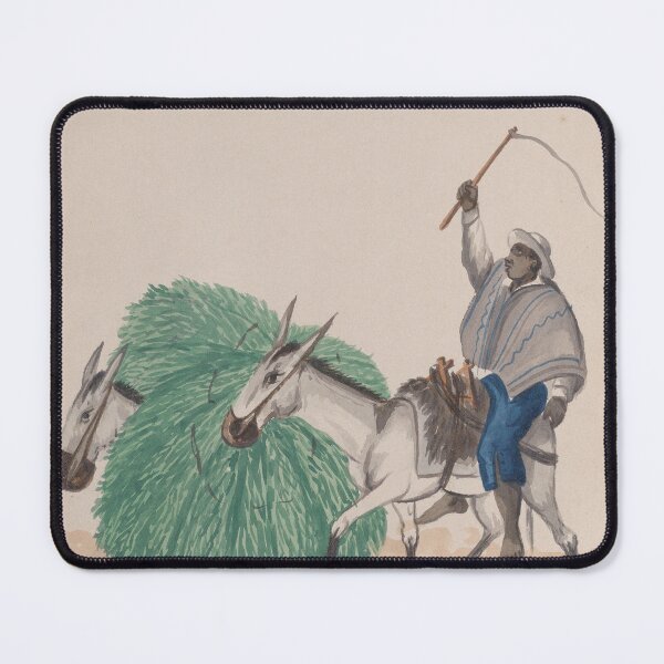 Item preview, Peruvian peasant with mules (1849) designed and sold by 19th Century in Color.