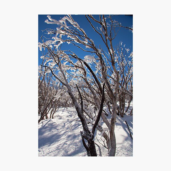 Item preview, Mount Hotham designed and sold by Roger Barnes.