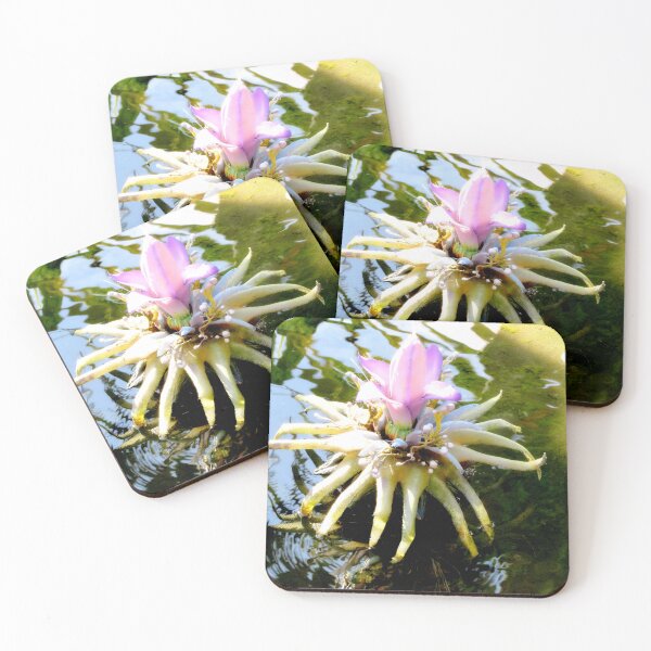 Item preview, Alien Plantlife designed and sold by ShutterbugBttns.