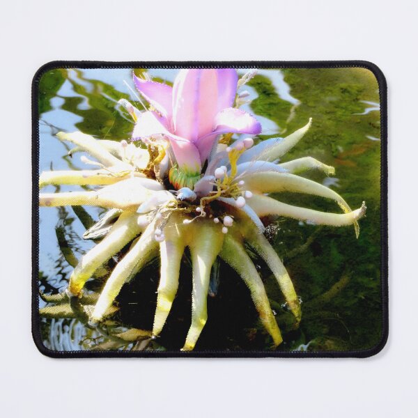 Item preview, Alien Plantlife designed and sold by ShutterbugBttns.