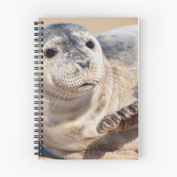 Aperçu de l'œuvre Animaux et la faune - Seal Pup créée et vendue par SammySDesigns.