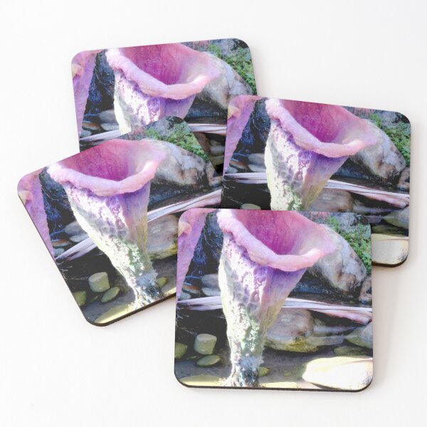 Item preview, Alien Pitcher Plant designed and sold by ShutterbugBttns.