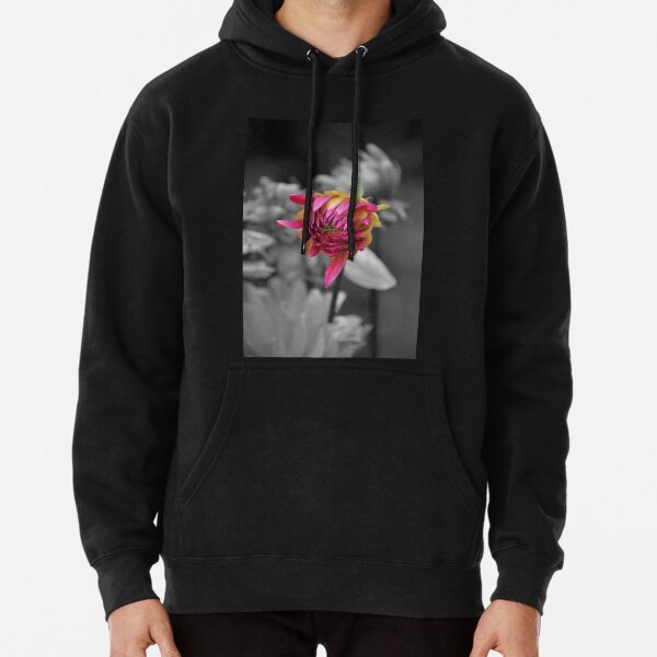 Open, Open, Open Pullover Hoodie