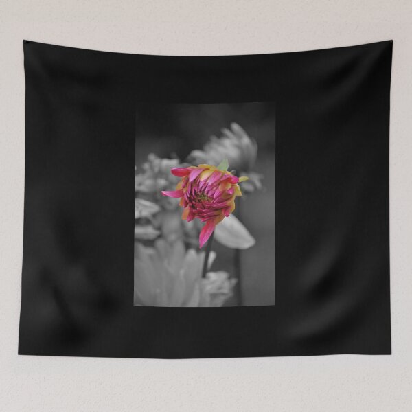 Item preview, Open, Open, Open designed and sold by Jen Waltmon.