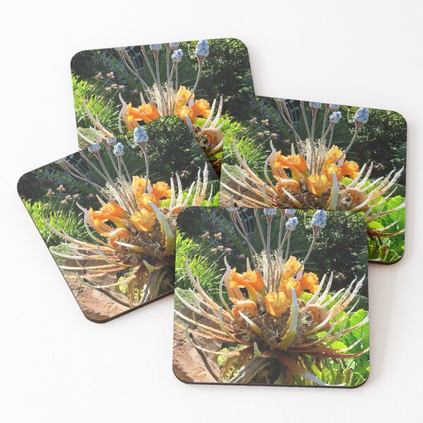 Item preview, Colorful Alien Plant designed and sold by ShutterbugBttns.