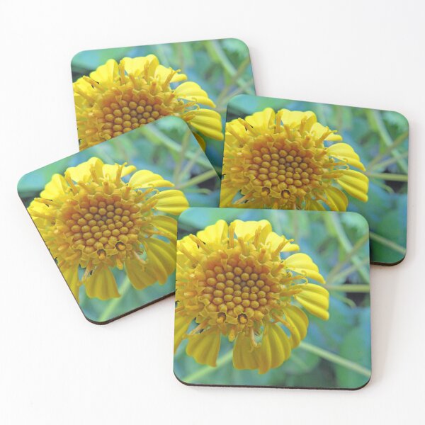 Item preview, Yellow Flower designed and sold by ShutterbugBttns.