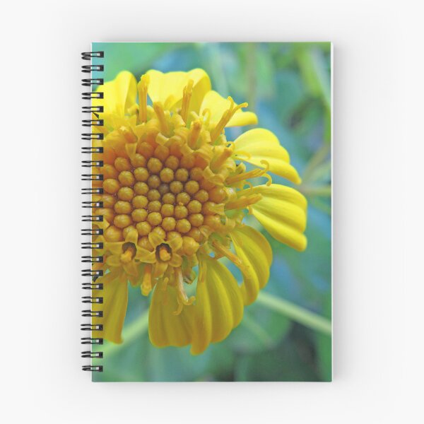 Item preview, Yellow Flower designed and sold by ShutterbugBttns.