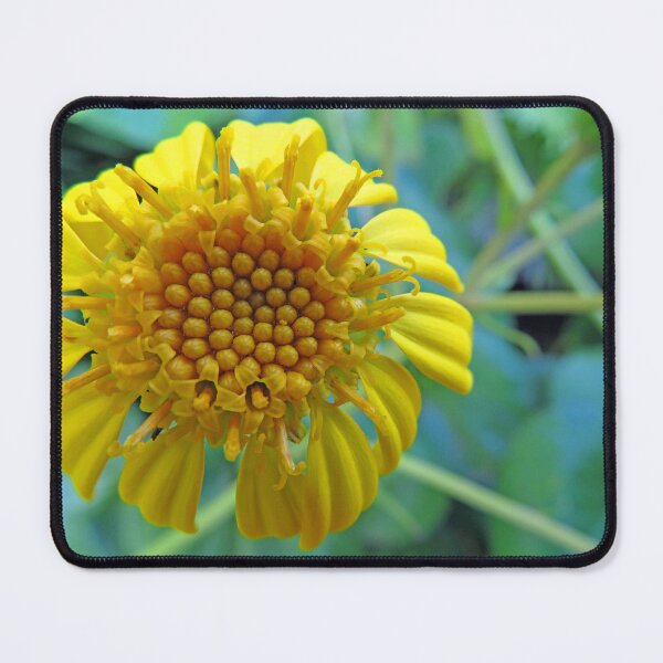 Item preview, Yellow Flower designed and sold by ShutterbugBttns.