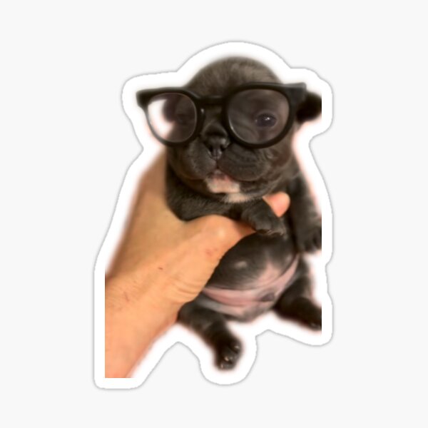 Item preview, Glasses Pibble designed and sold by buryniceshop.