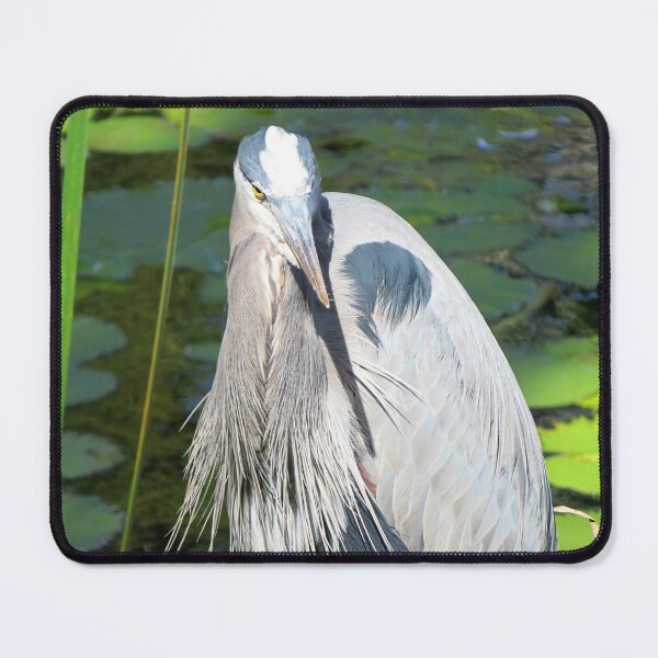 Item preview, Heron designed and sold by ShutterbugBttns.