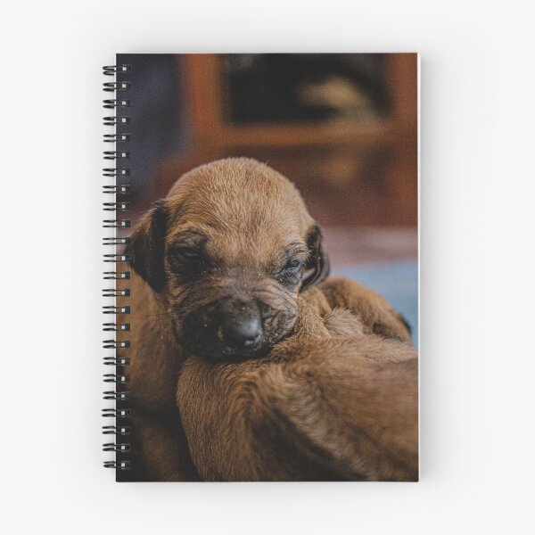 Item preview, Abrazos de ensueño designed and sold by IdleImages.