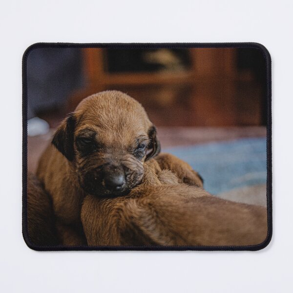 Item preview, Dreamy Snuggles designed and sold by IdleImages.