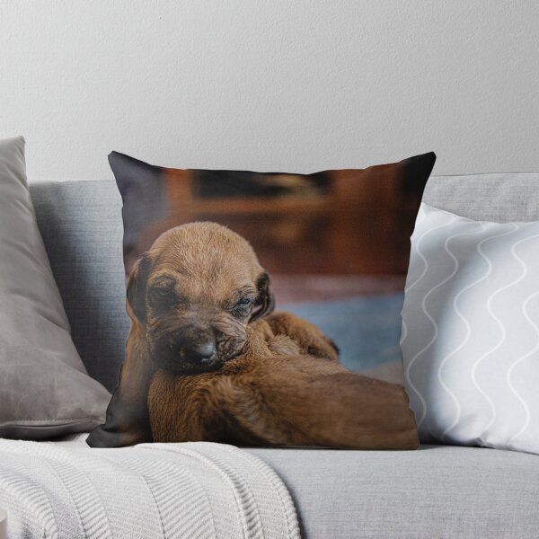 Item preview, Dreamy Snuggles designed and sold by IdleImages.
