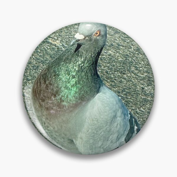 Item preview, Pidgey the Pigeon designed and sold by yeeted-oof.