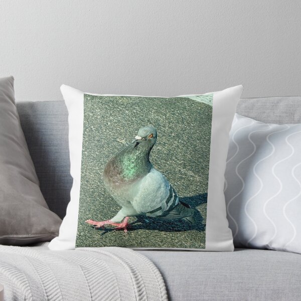 Item preview, Pidgey the Pigeon designed and sold by yeeted-oof.