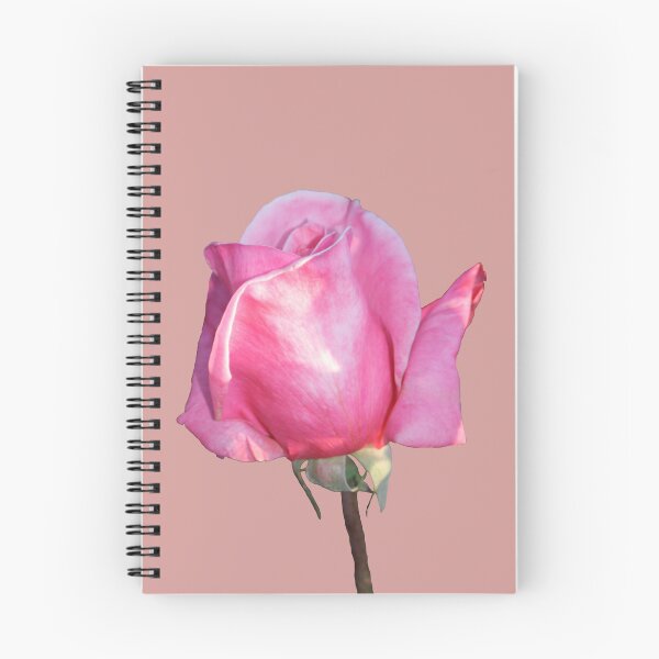 Item preview, Pink Rose designed and sold by STHogan2.