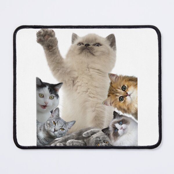 Item preview, Charming Cats designed and sold by Michał Bąk.