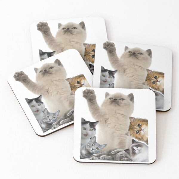 Item preview, Charming Cats  designed and sold by Michał Bąk.