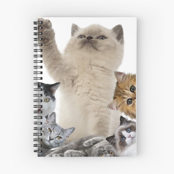 Item preview, Charming Cats  designed and sold by Michał Bąk.