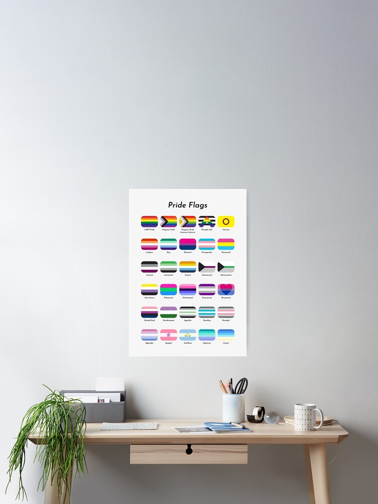 Pride Flag Progress Poster