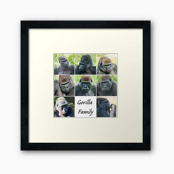 Vista previa del artículo con la obra «Familia de gorilas», diseñado y vendido por rawshutterbug.