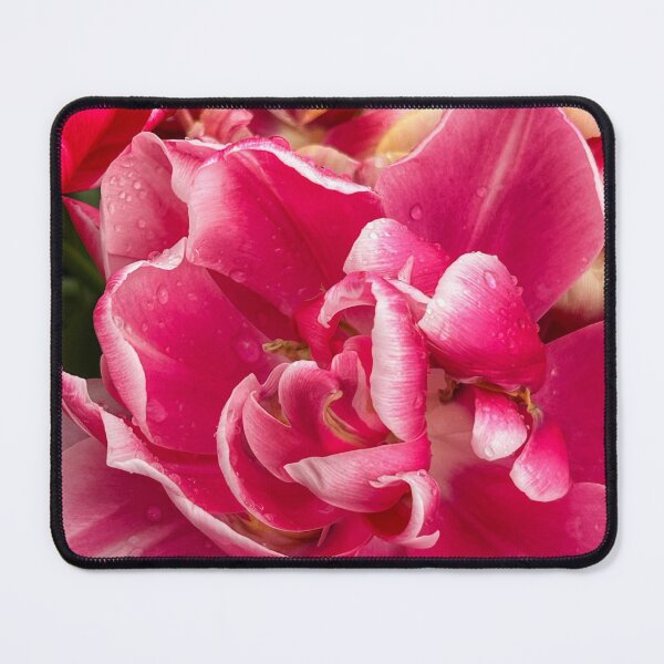 Item preview, Nannup Tulips designed and sold by Helly Peacock.