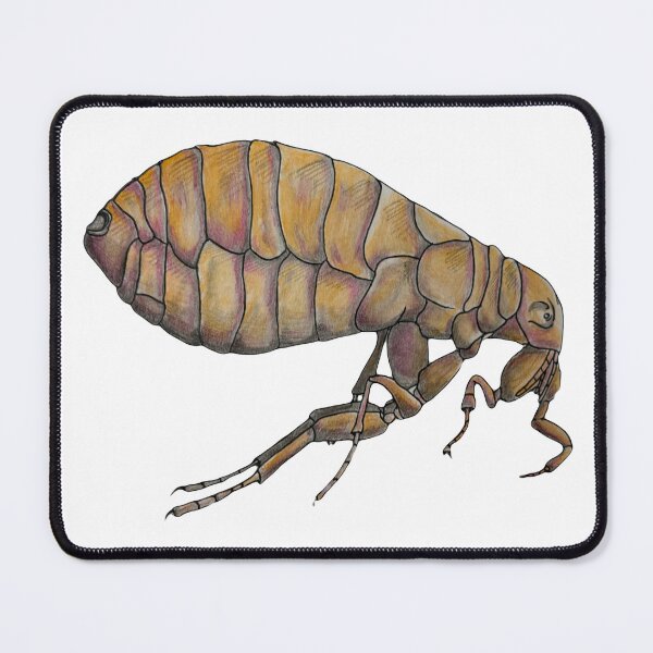 Item preview, Flea  designed and sold by Glenbobagins.