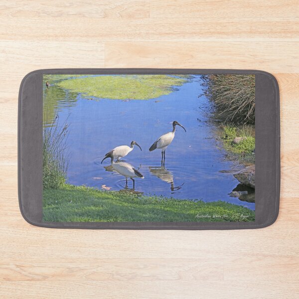 Item preview, Australian White Ibis designed and sold by STHogan2.