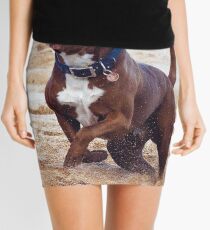 Take It! Mini Skirt