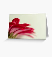 Things left unsaid Greeting Card