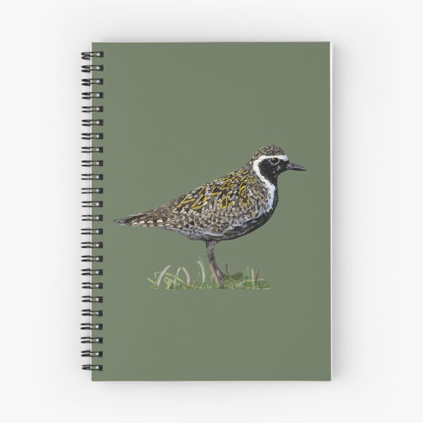 Item preview, Pacific Golden Plover ready to fly to Alaska designed and sold by NJartbyNJacobson.
