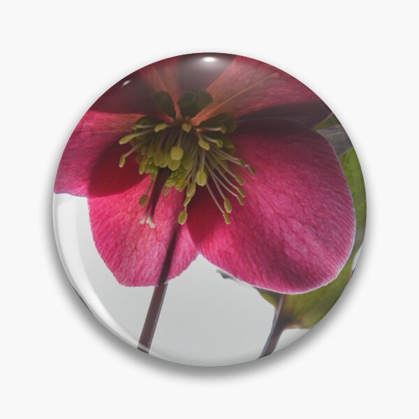 Item preview, Hellebores designed and sold by Dreamscape Eclectic .