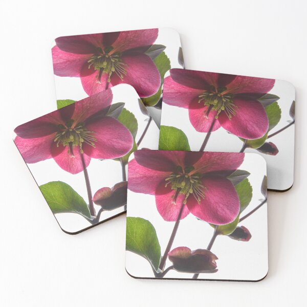 Item preview, Hellebores designed and sold by Dreamscape Eclectic .