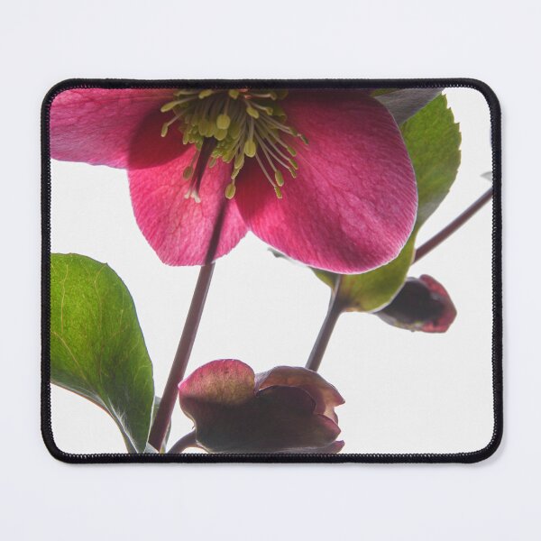 Item preview, Hellebores designed and sold by Dreamscape Eclectic .