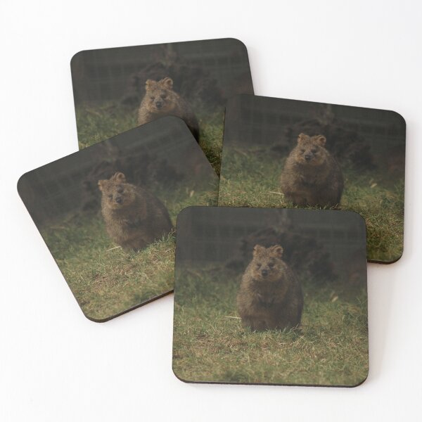 Item preview, Quokka designed and sold by RREID84.