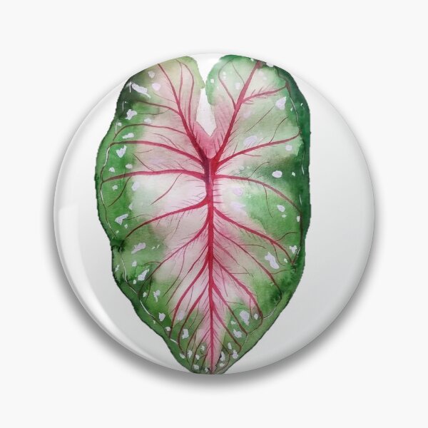 Item preview, Calladium in watercolor designed and sold by lisboaarts.