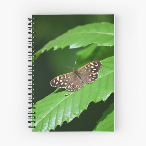 Item preview, Animals and Wildlife - Resting Butterfly  designed and sold by SammySDesigns.