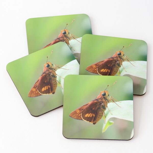 Item preview, Orange Palm Dart Resting designed and sold by Siene Browne.