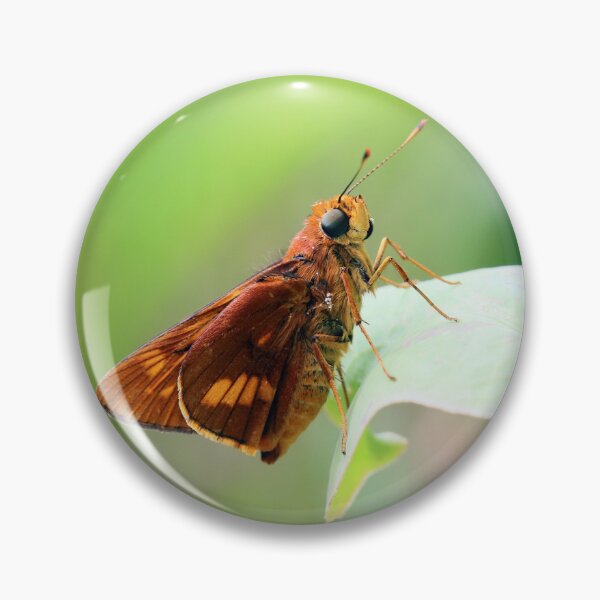 Item preview, Orange Palm Dart Resting designed and sold by Siene Browne.