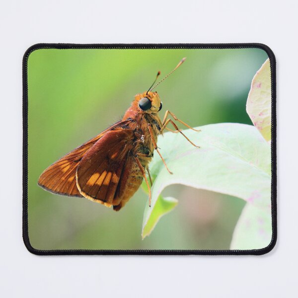 Item preview, Orange Palm Dart Resting designed and sold by Siene Browne.