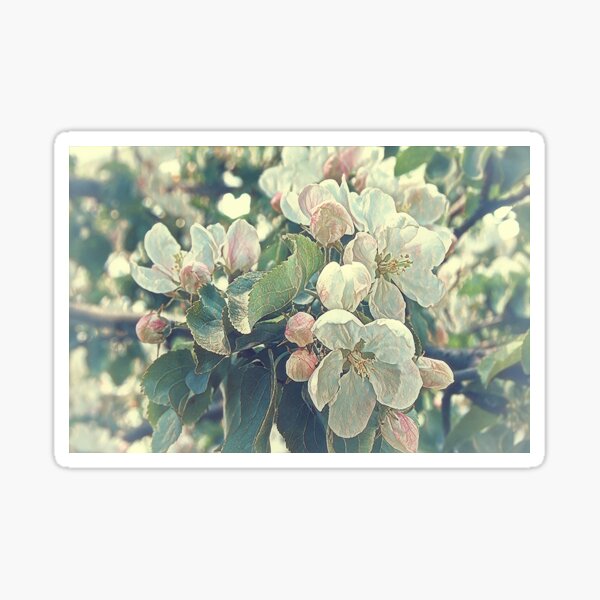 Item preview, Apple blossom designed and sold by Kacharava.