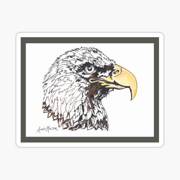 Eagle Head - pen and ink drawing Sticker