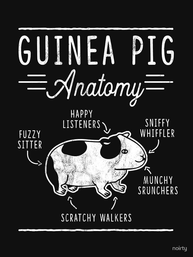 "The Anatomy Of A Guinea Pig " T-shirt by noirty | Redbubble