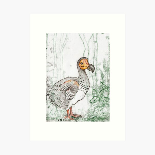 Dodo Kunstdruck