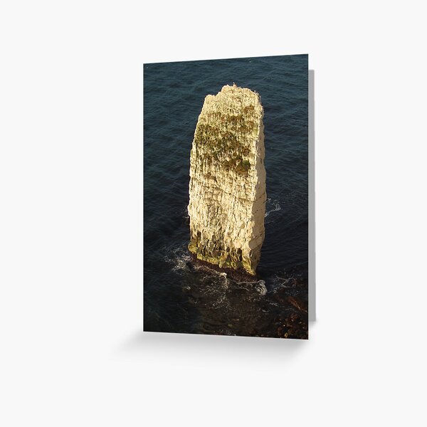 Item preview, Seabird Nesting Place, Chalk Stack, Dorset designed and sold by wiggyofipswich.