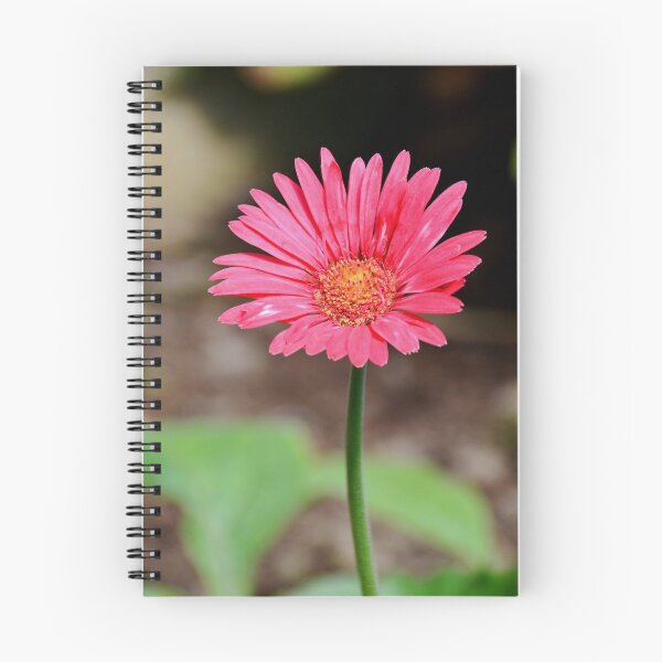 Item preview, Garvinia, Gerbera designed and sold by Frank  Irwin.