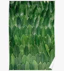 Abstract Art Green Plant Leaves- Leaf Art Poster