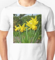 Daffodils, Unisex T-Shirt