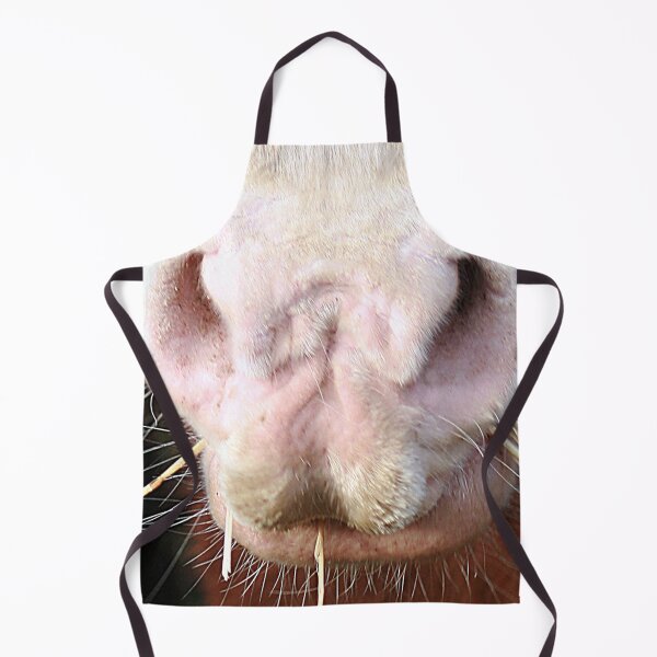 Item preview, Happiness is a Horse designed and sold by Murph's Images.